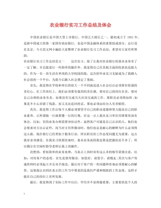 农业银行实习工作总结及体会 