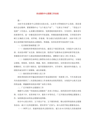 农业服务中心团委工作总结 