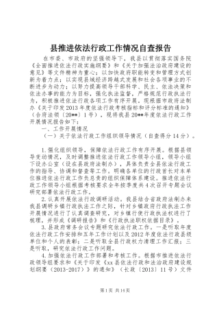 县推进依法行政工作情况自查报告
