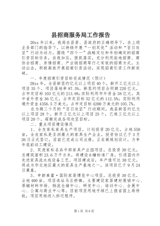 县招商服务局工作报告