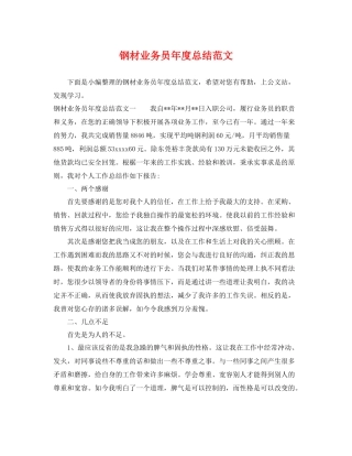 钢材业务员年度总结范文 