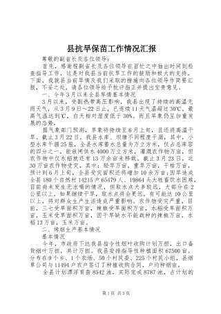 县抗旱保苗工作情况汇报