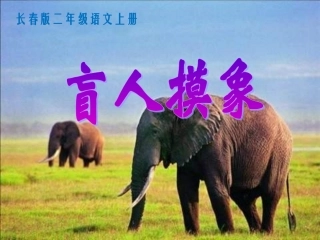长春版二年级语文上册《盲人摸象》PPT课件11