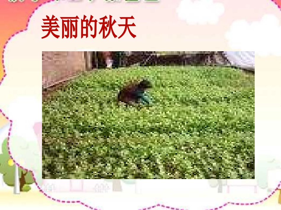 西师版一年级语文粮食蔬菜_第2页