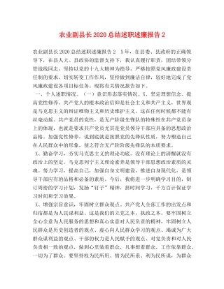 农业副县长2020总结述职述廉报告2 