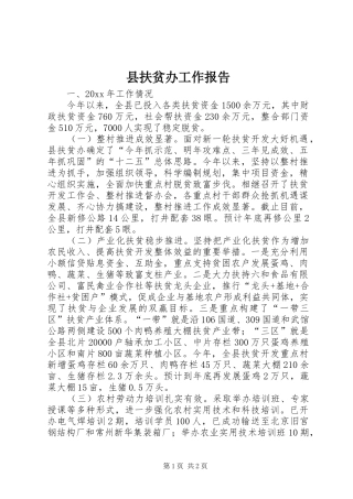 县扶贫办工作报告