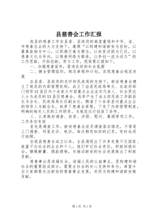 县慈善会工作汇报