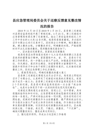 县应急管理局委员会关于巡察反馈意见整改情况的报告