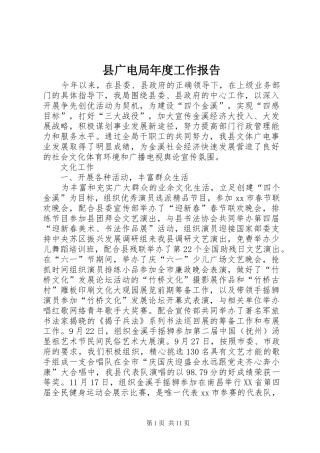 县广电局年度工作报告