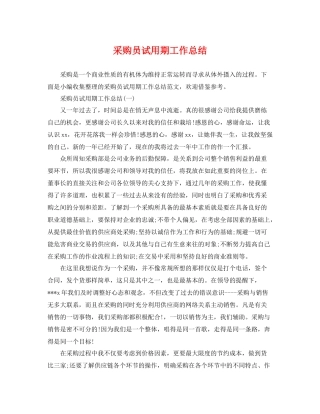 采购员试用期工作总结 