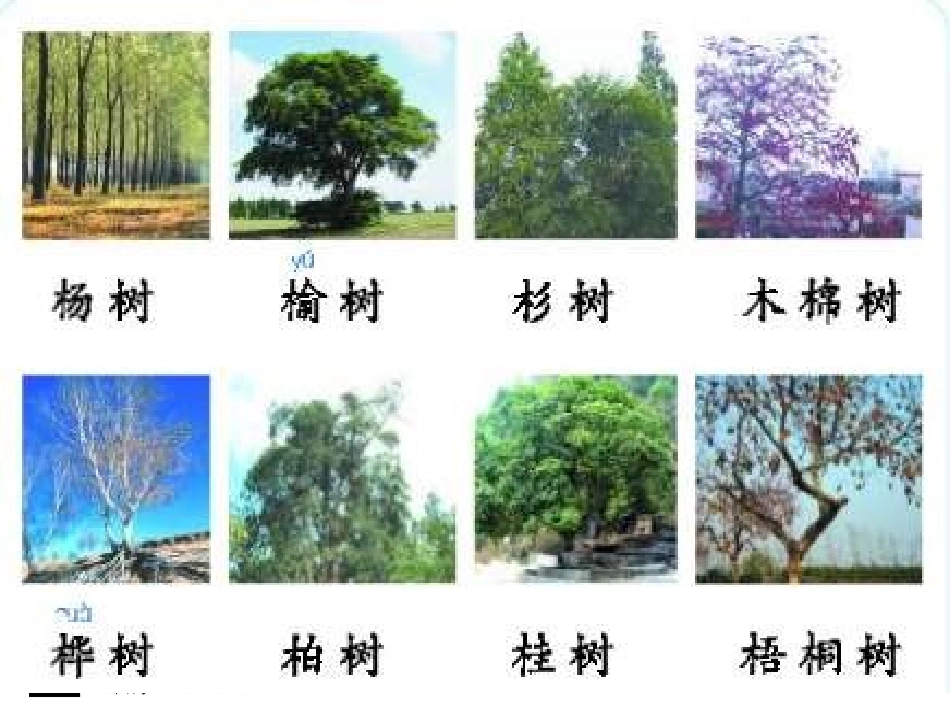 长春版二年级上语文《汉字家园1-2》_第2页