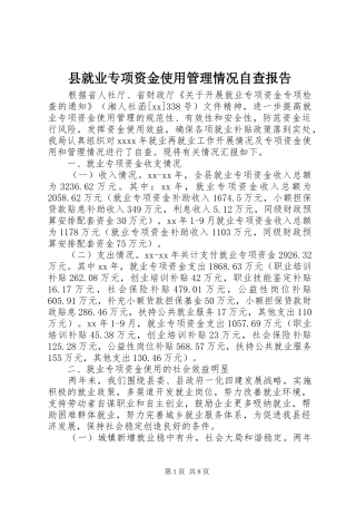 县就业专项资金使用管理情况自查报告