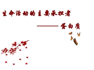 生命活动的主要承担者—蛋白质