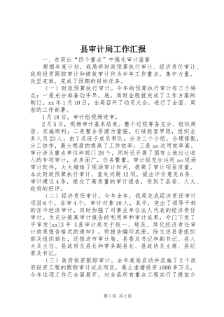 县审计局工作汇报