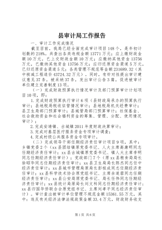县审计局工作报告