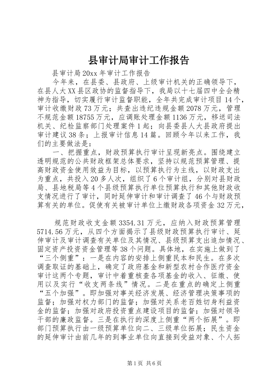 县审计局审计工作报告_第1页