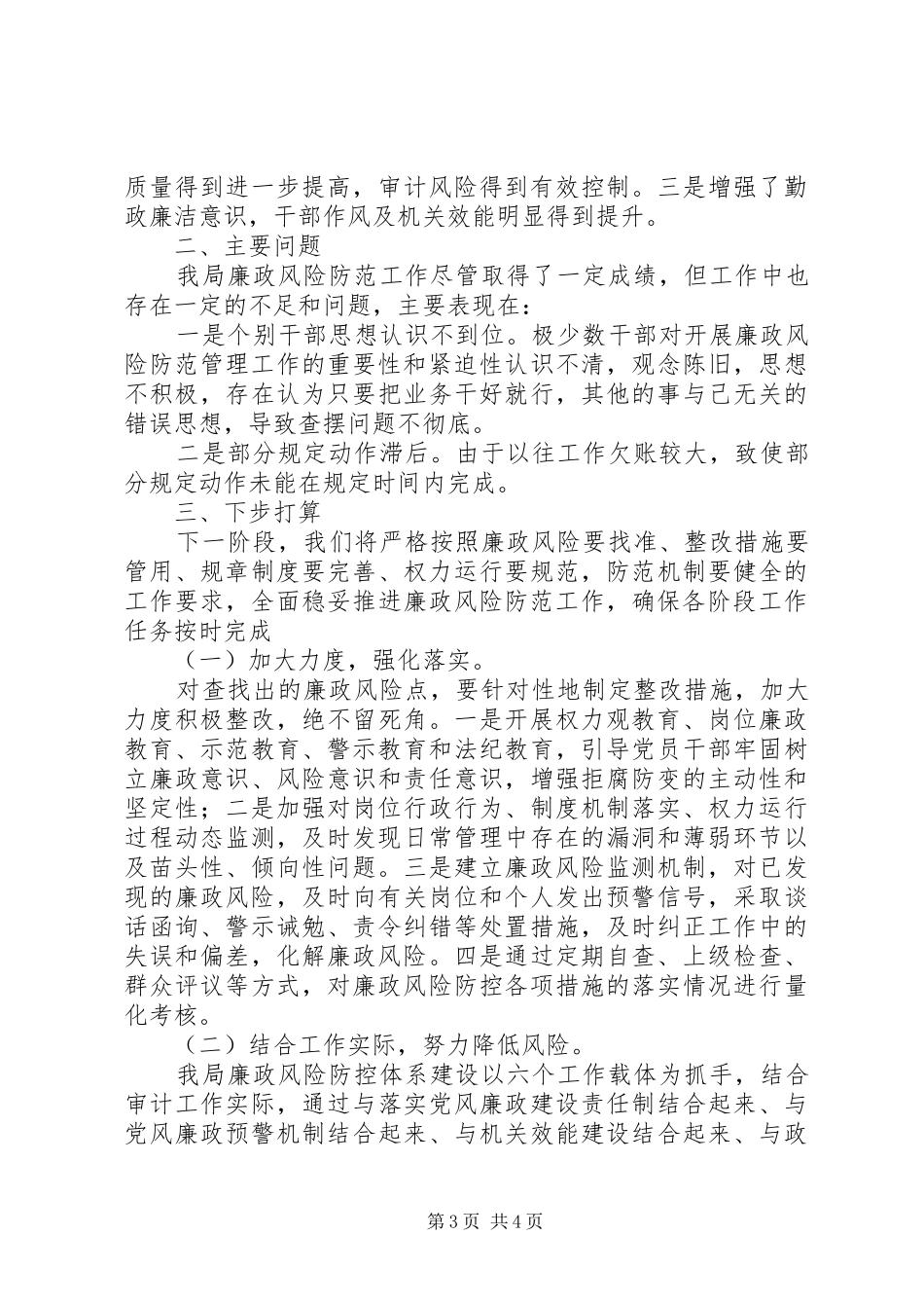 县审计局全面推进廉政风险防范工作自查报告_第3页