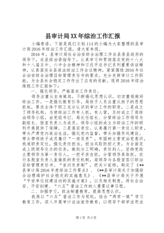 县审计局XX年综治工作汇报