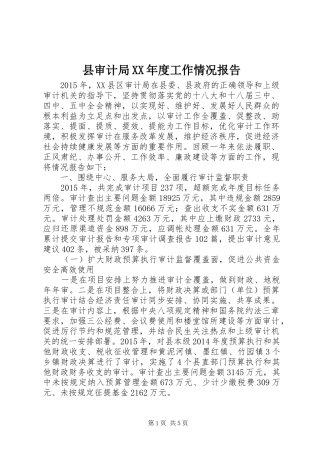县审计局XX年度工作情况报告