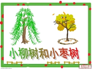 小柳树和小枣树