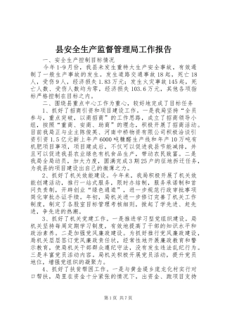 县安全生产监督管理局工作报告