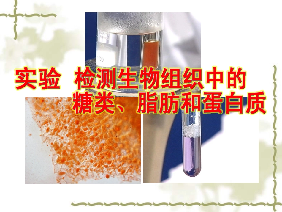 蛋白质，还原糖，脂肪的检测_第1页