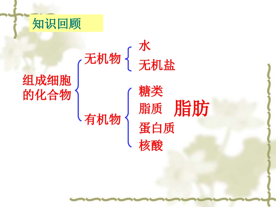 蛋白质，还原糖，脂肪的检测_第2页
