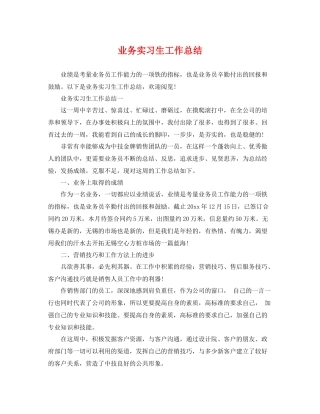 业务实习生工作总结 