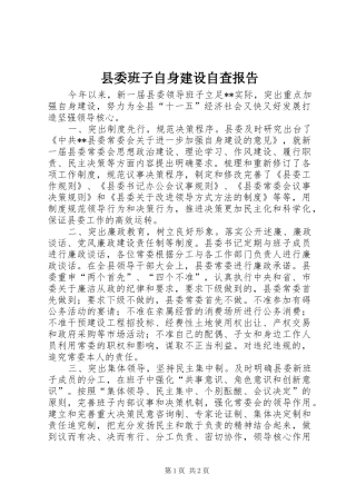 县委班子自身建设自查报告