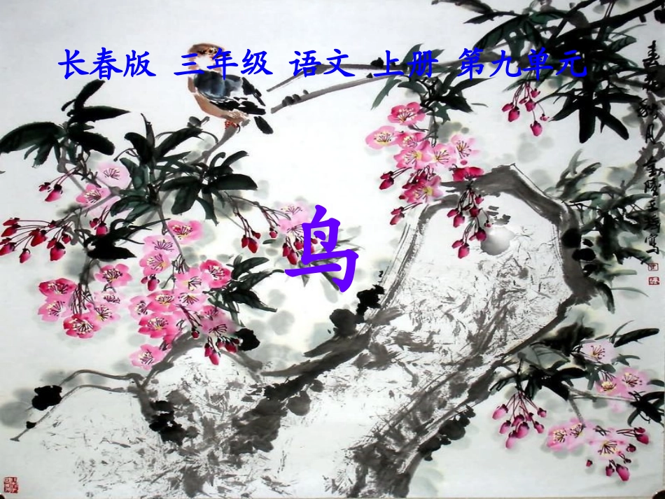 （长春版）三年级语文上册课件鸟1_第1页