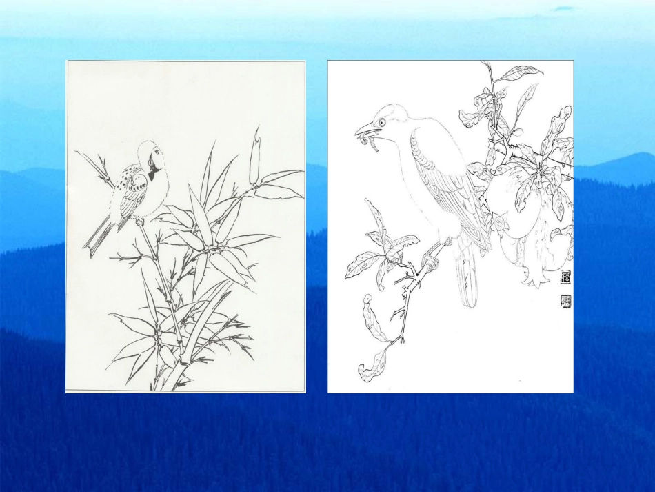 （长春版）三年级语文上册课件鸟1_第2页