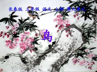（长春版）三年级语文上册课件鸟1