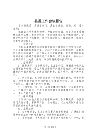 县委工作会议报告