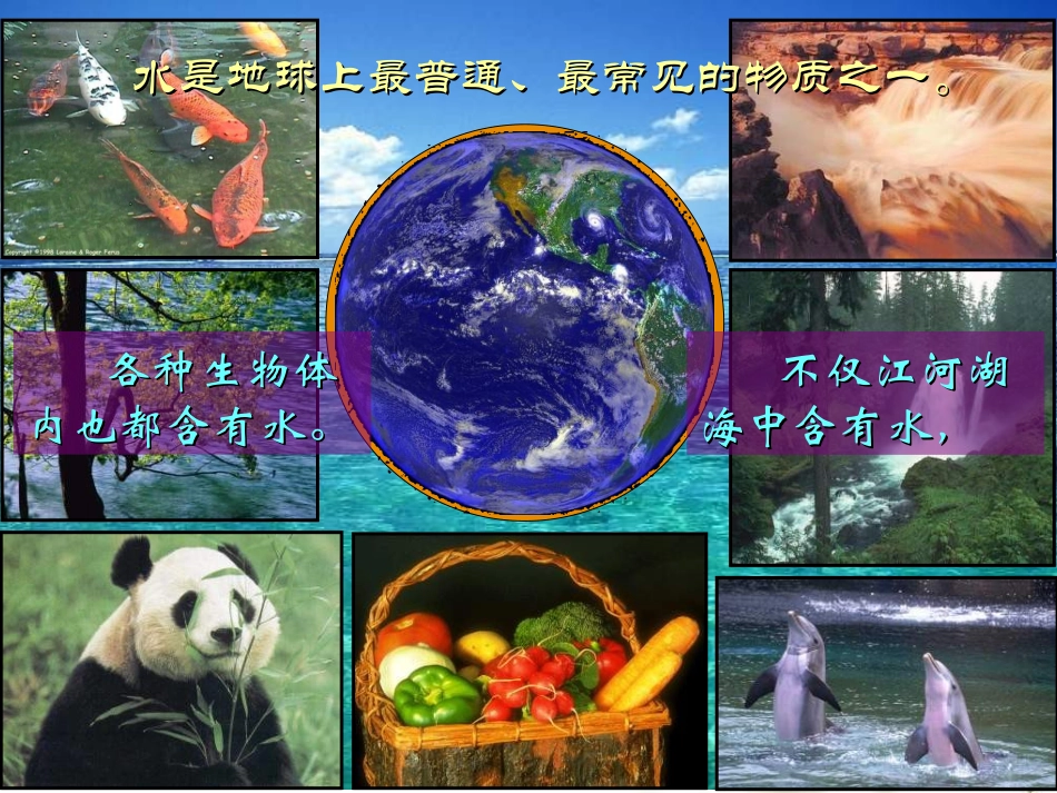 九年级化学水的组成_第2页