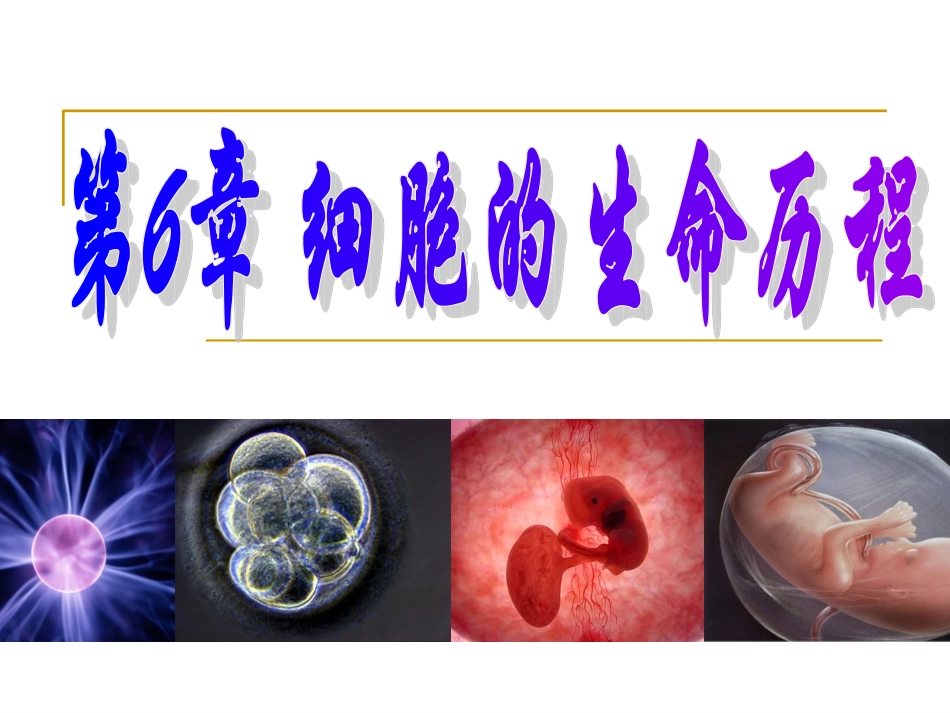 必修一61_细胞增殖_第1页