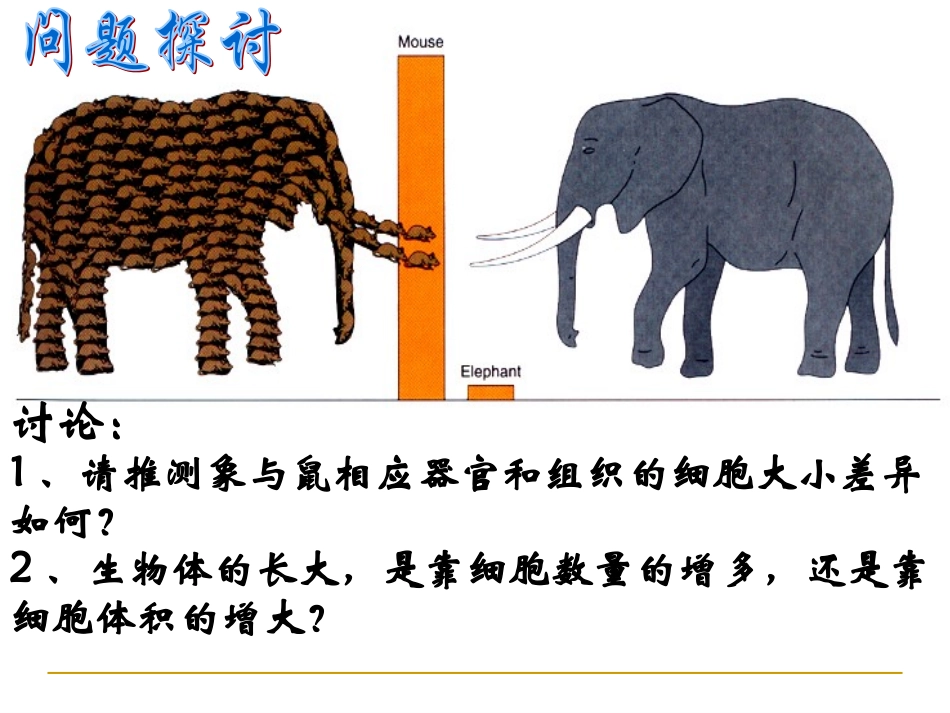 必修一61_细胞增殖_第3页