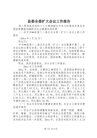 县委全委扩大会议工作报告