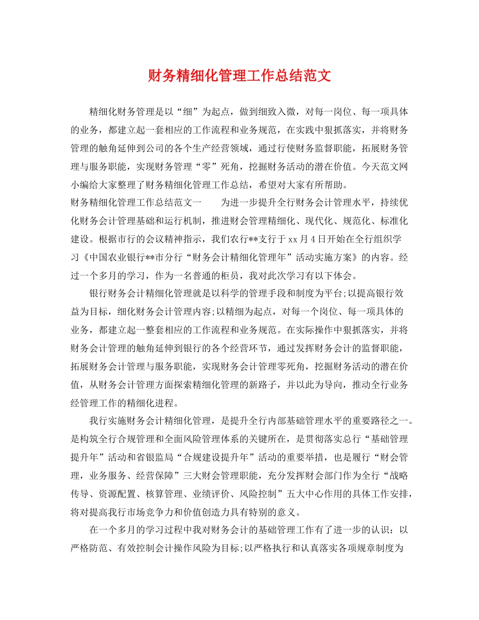 财务精细化管理工作总结范文 _第1页