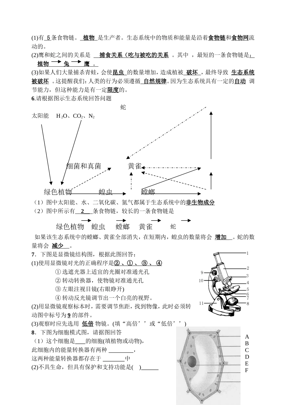 七年级生物学上期末复习（二）非选择题部分_第3页