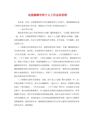 电视编辑年终个人工作总结范例 