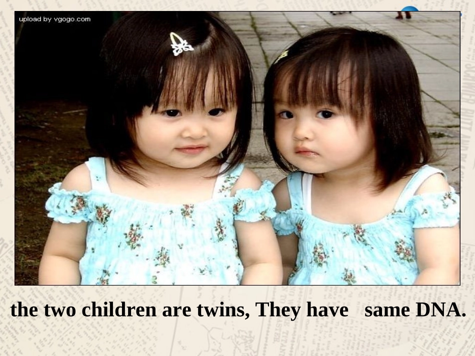 冀教版九年级英语Lesson29DNA—TheStoryofYou_第2页