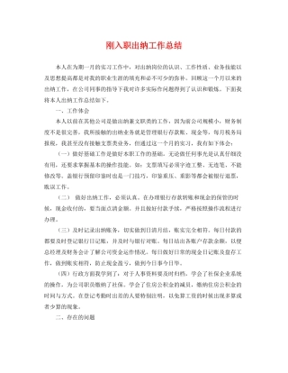 刚入职出纳工作总结 