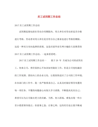 员工试用期工作总结 