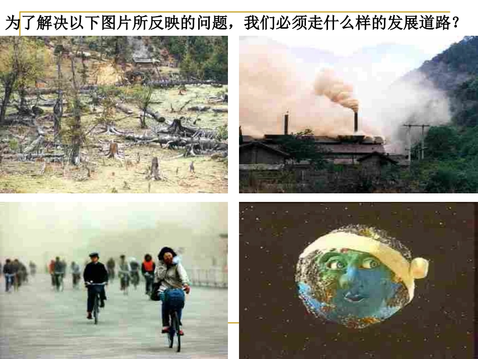 实施可持续发展战略_第2页