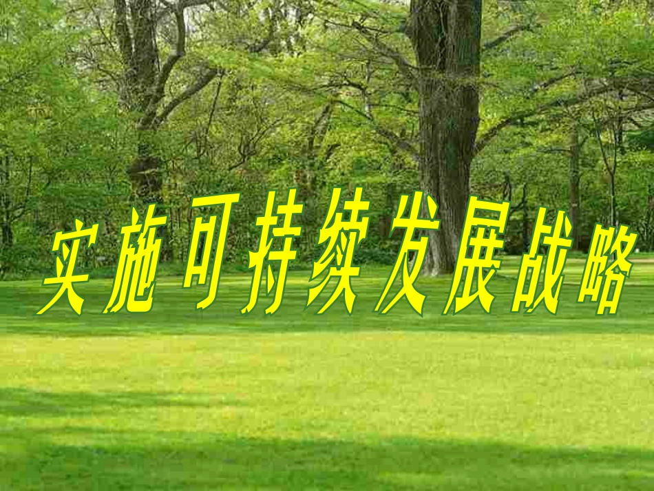 实施可持续发展战略_第3页