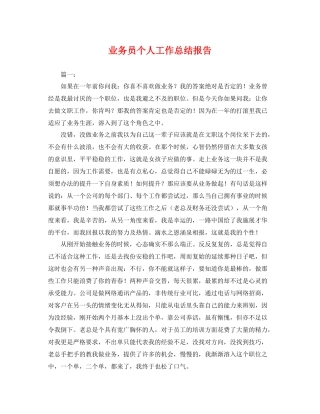 业务员个人工作总结报告 