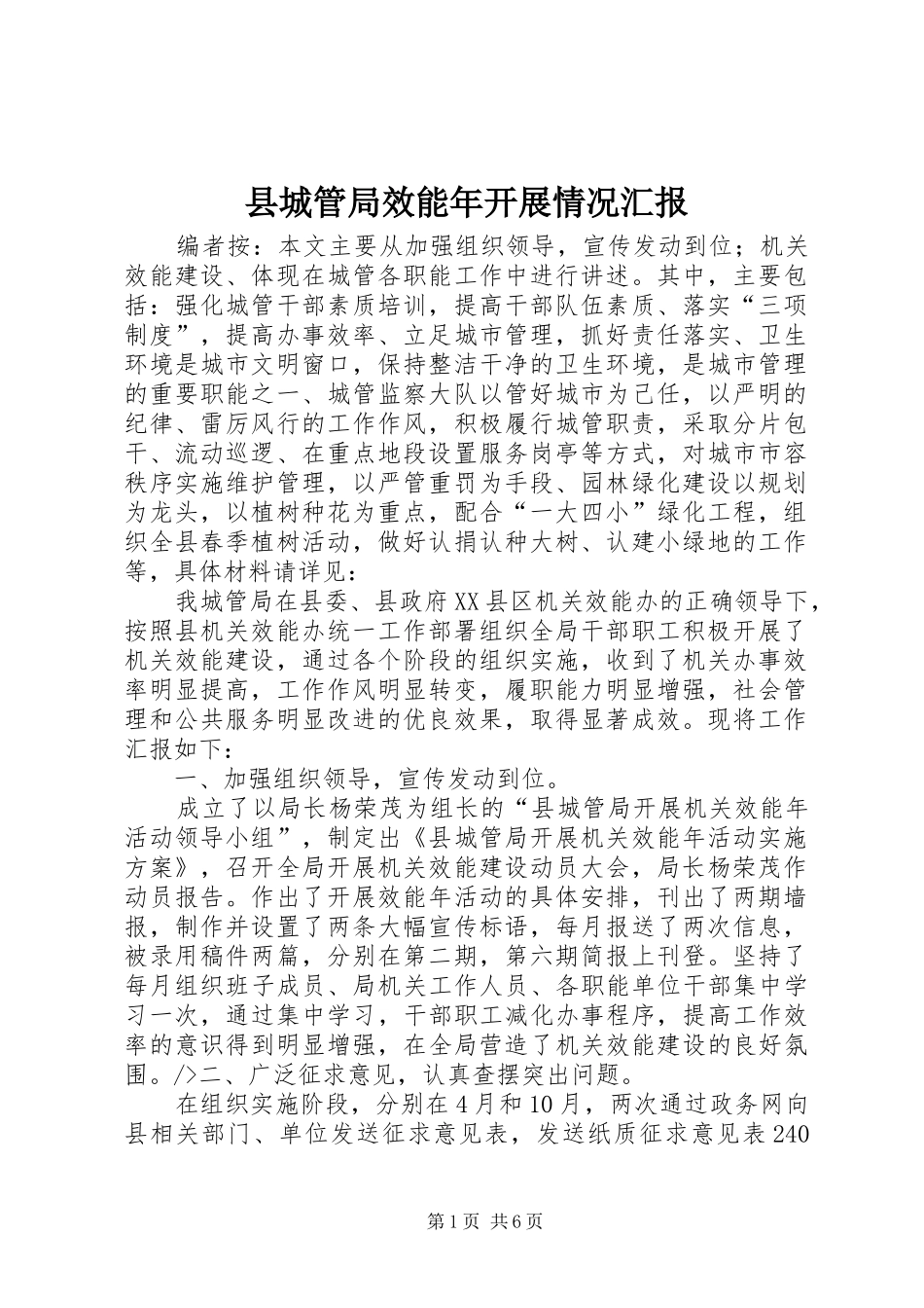 县城管局效能年开展情况汇报_第1页