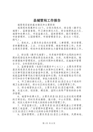 县城管局工作报告