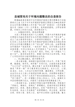 县城管局关于环境问题整改的自查报告