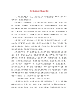党支部202020年度总结范文 